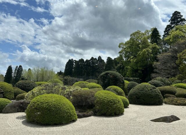リソルの森