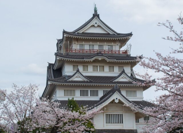 亥鼻公園桜