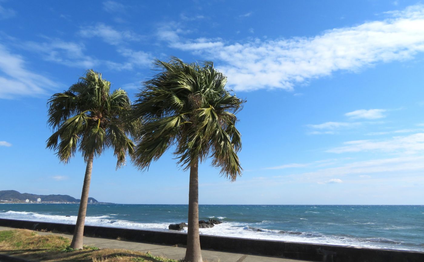 和田浦海水浴場