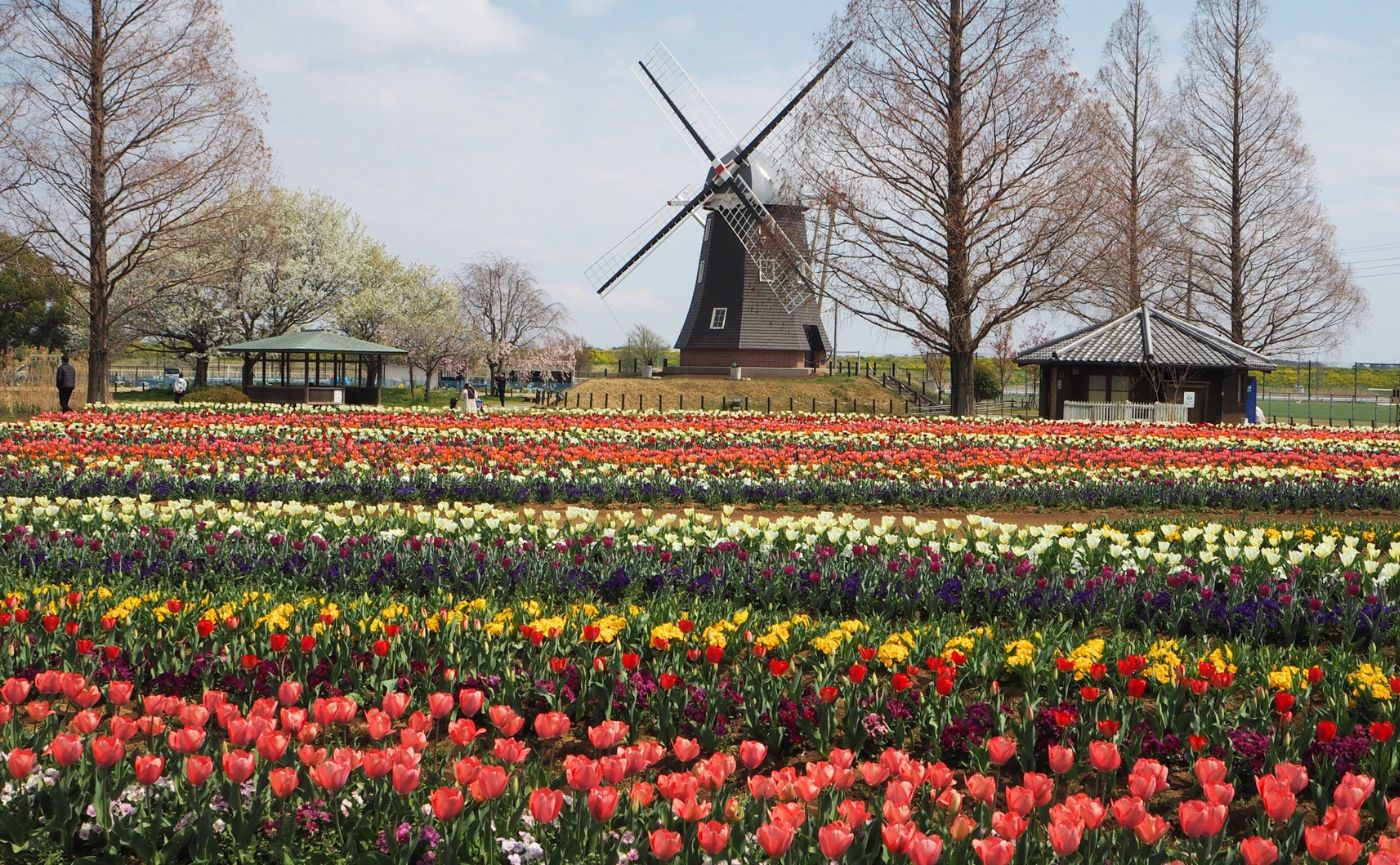 あけぼの山農業公園