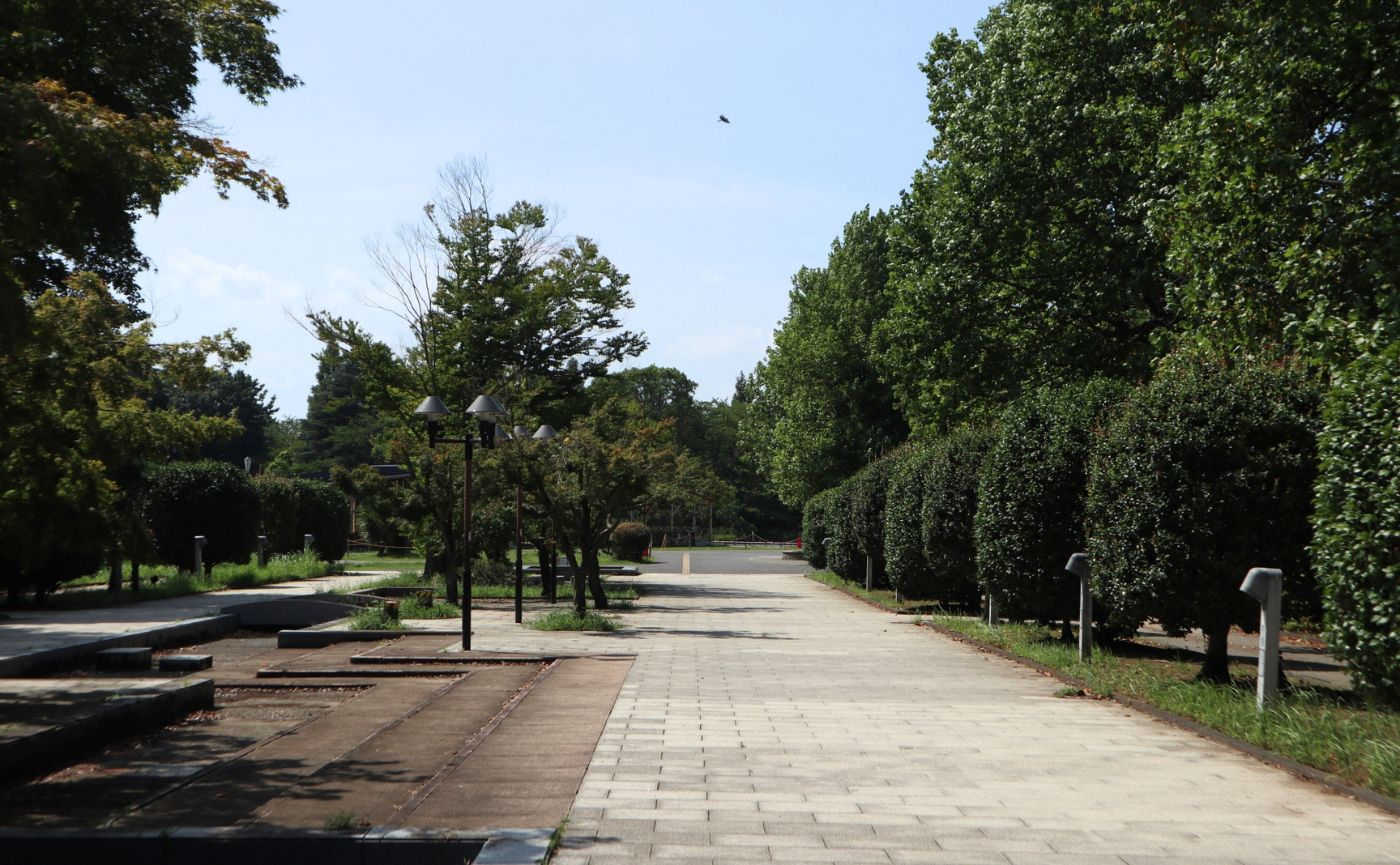 柏の葉公園