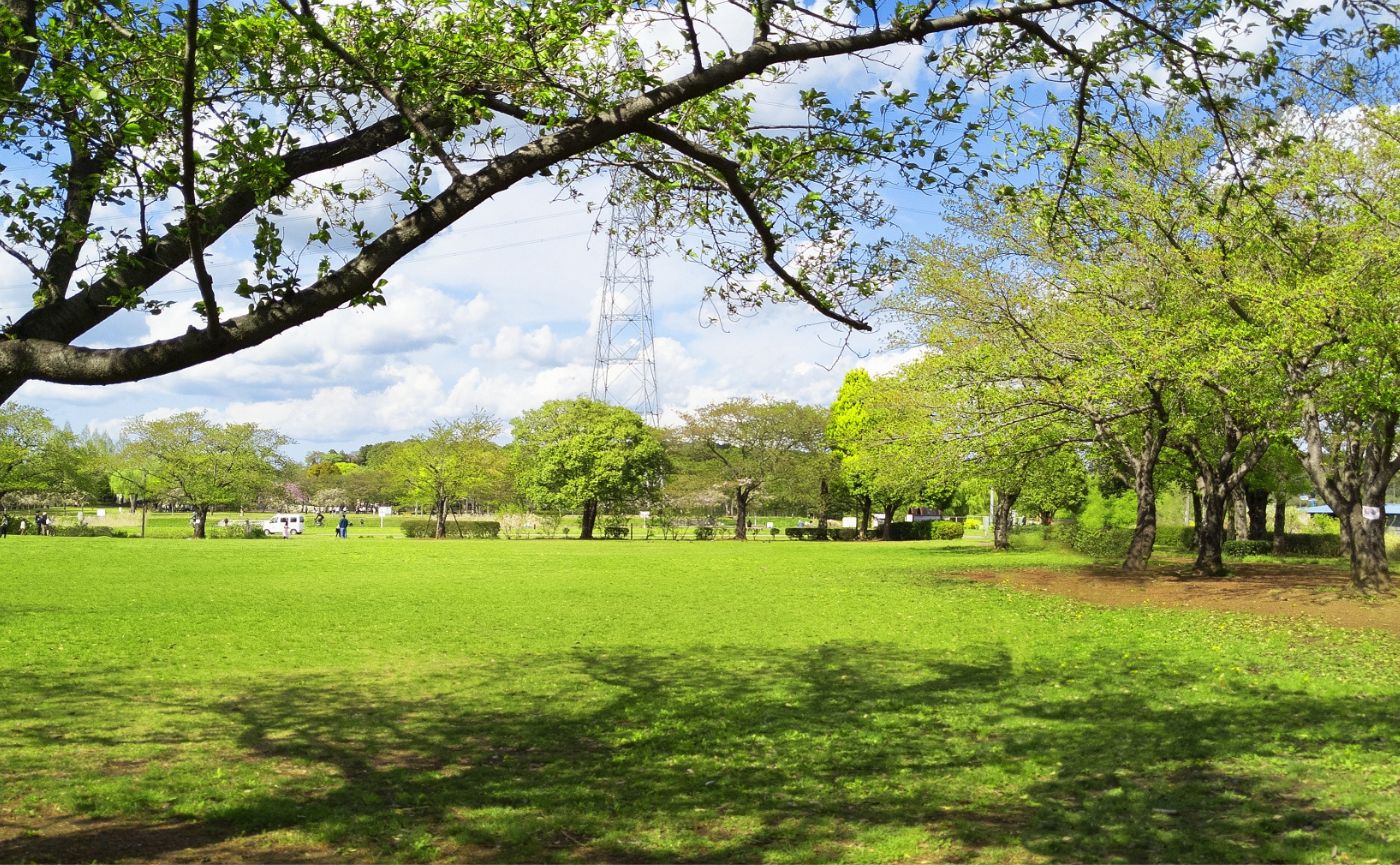 柏ふるさと公園