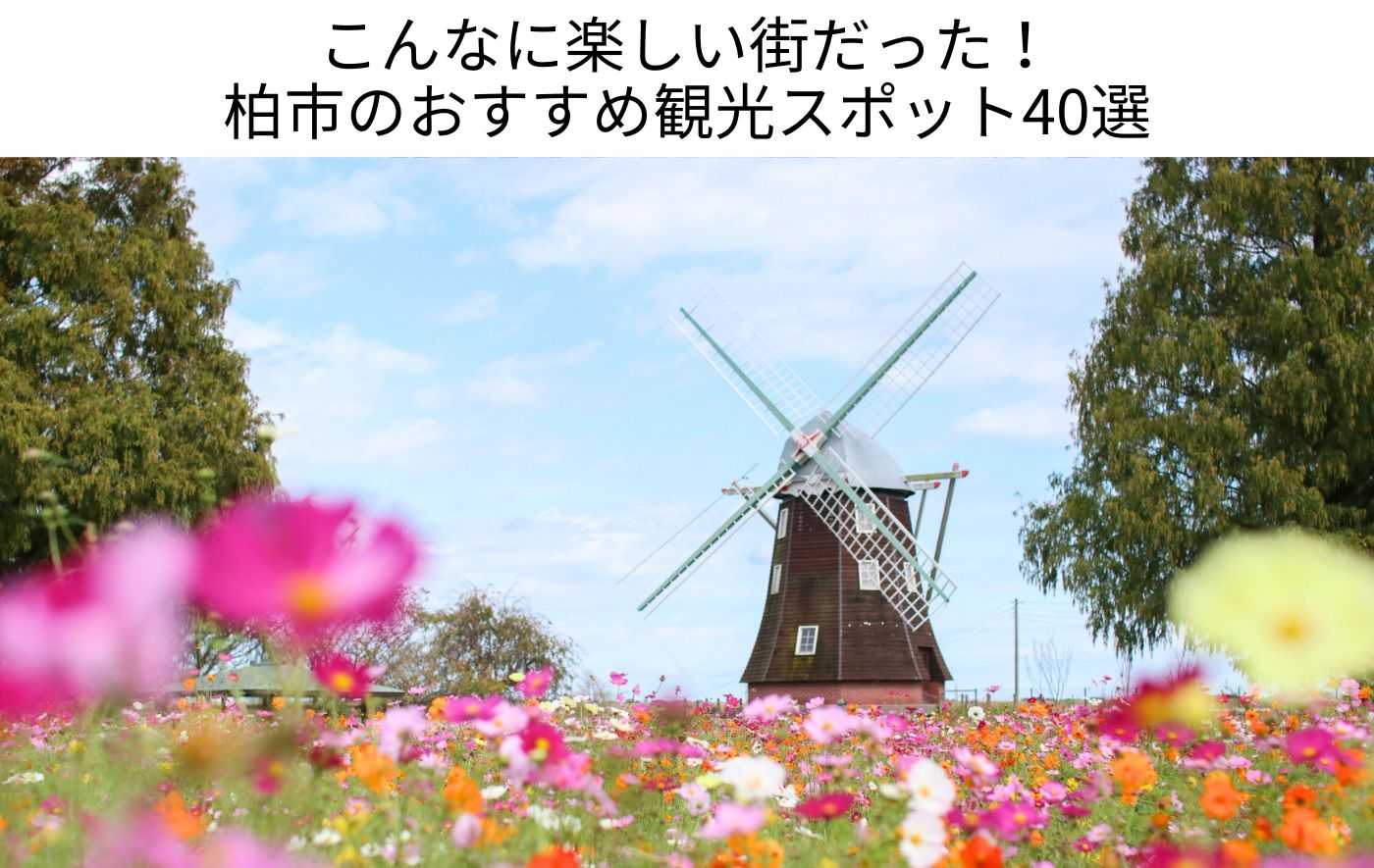 柏市の観光・お出かけスポット完全ガイド40選！自然・歴史・レジャーを徹底紹介
