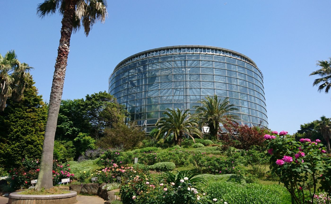 BOTANICA MUSEUM