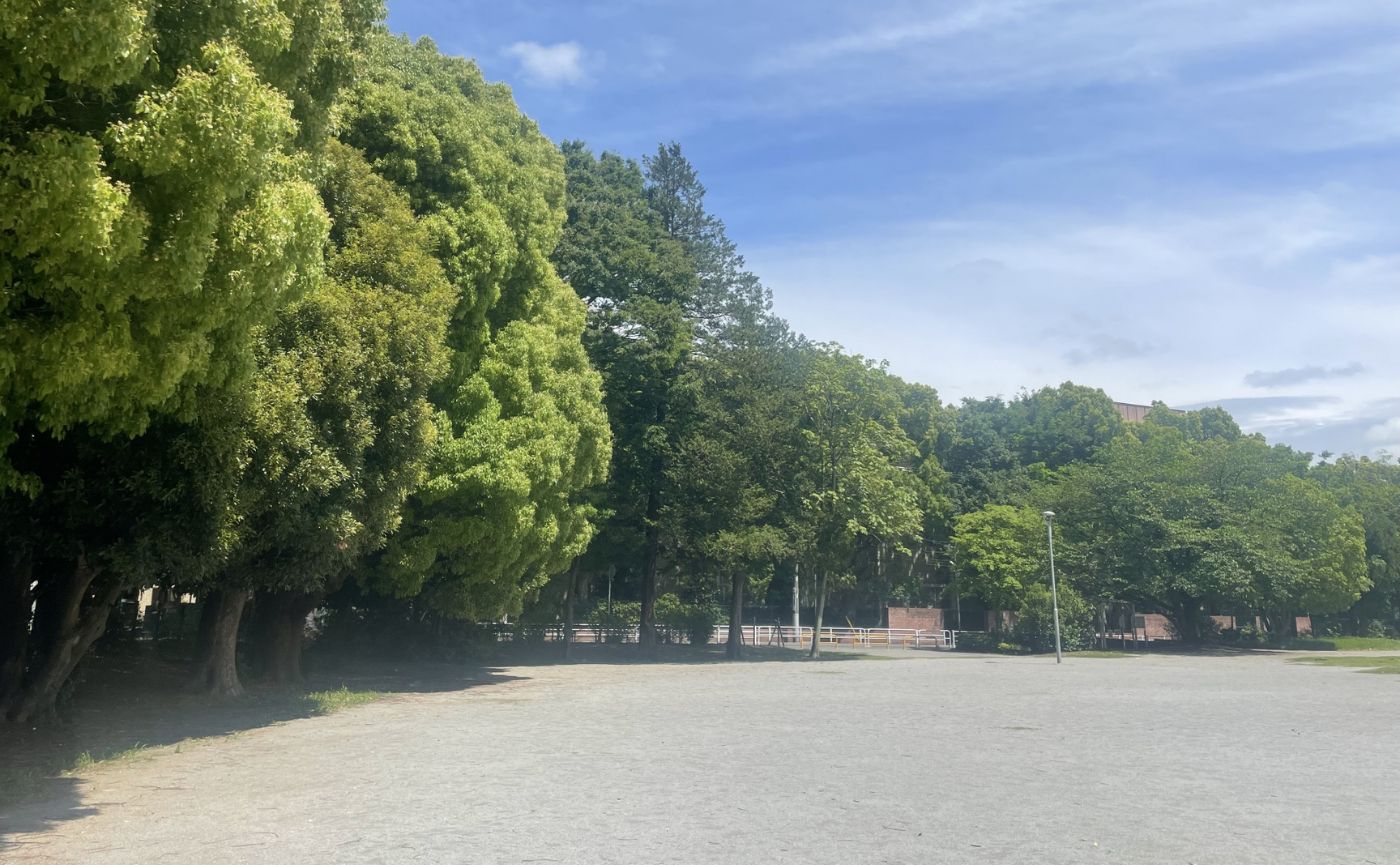 松戸中央公園