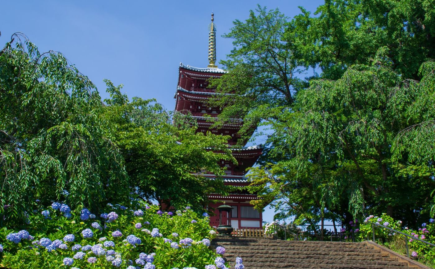 本土寺