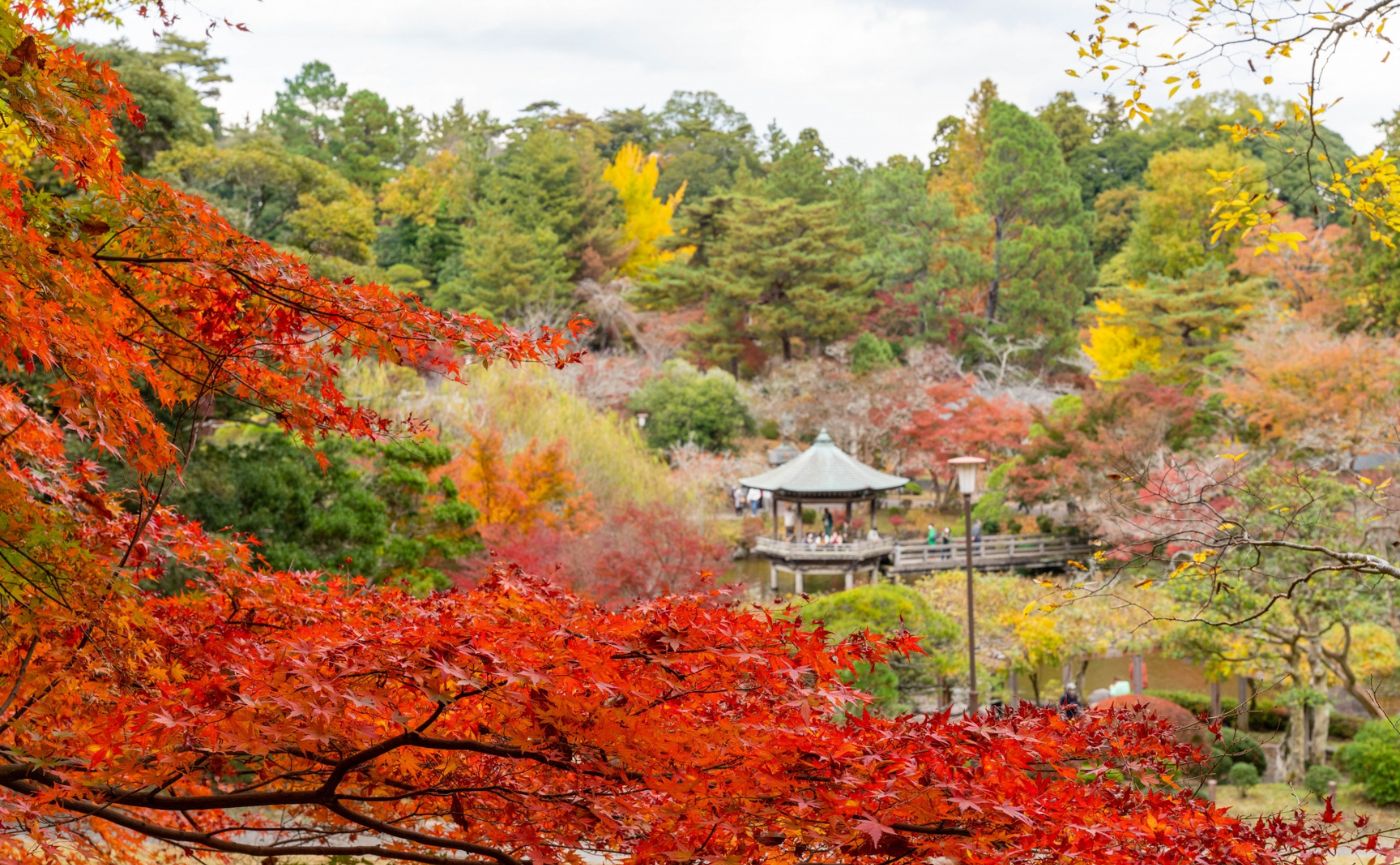 成田山公園紅葉