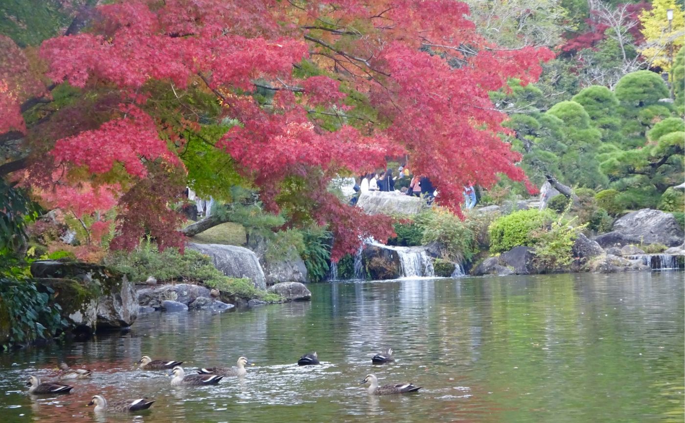 千葉県紅葉