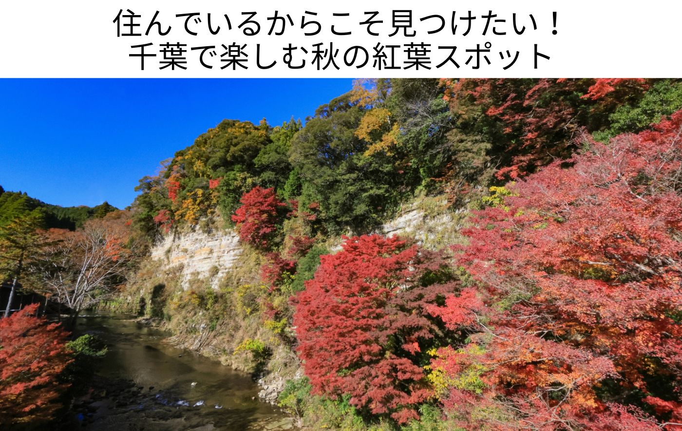 【2026年版】千葉県の紅葉スポット大特集！定番の名所から穴場まで徹底解説